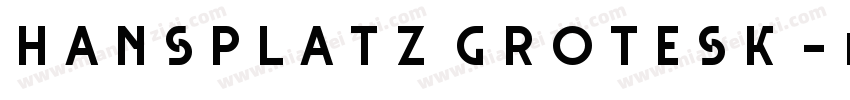 Hansplatz Grotesk字体转换